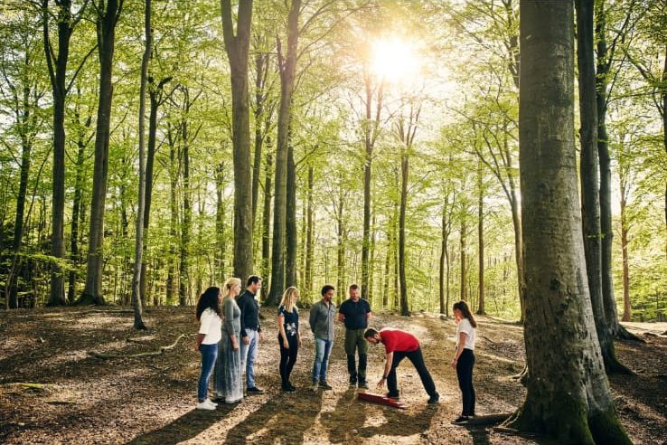 Firemný tím počas teambuildingu v slnečnom lese
